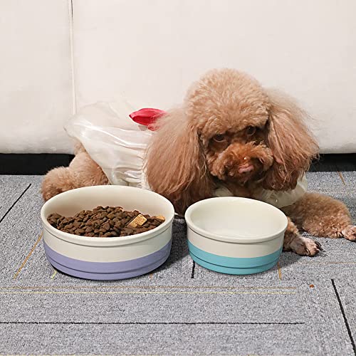 Sweejar Ceramic Dog Bowls, Dog Food Dish for Small Dogs and Cat, Heavy Duty Porcelain Pet Bowl for Canned Food and Water 17 Fl Oz （Purple） - color: Purple, style: Two-tone,5.5"x 2.2"(16 Fl Oz)