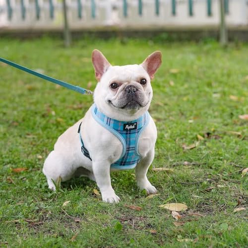 PUPTECK Soft Mesh Dog Harness and Leash Set Pet Puppy Cat Comfort Padded Vest No Pull Harnesses, Light Blue, S - color: Blue, size: S (NECK: 12", CHEST: 14"-18")
