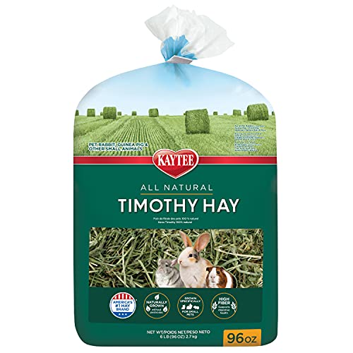 Kaytee Timothy Hay, High Fiber, Grown Specifically for Small Animals, Rabbits, Guinea Pigs, Chinchillas, 96 Ounces - size: 6 Pound (Pack of 1)