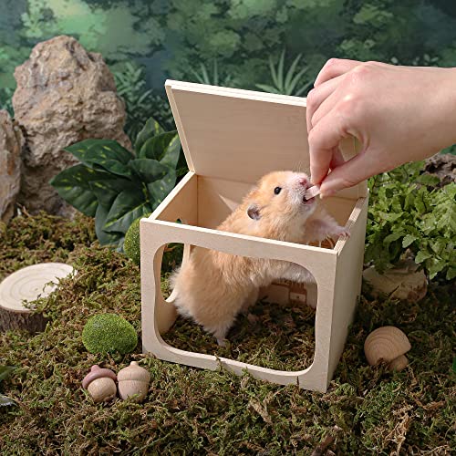 Hamster Hideout Wooden House Chamber Small Animals Pets Tunnel Exploring Toys Secret Peep Shed for Dwarf Hamsters, Syrian Hamsters, Gerbils, Hedgehogs, Rats, Mice (Study Room)