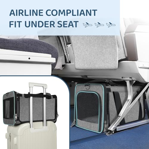 GAPZER Cat Carrier American, United, Delta Airline Approved Soft Travel Bag | Pet Airplane Crate Medium Cat 15 lbs Privacy Curtatin, Small Dog Crate Under 10 Pound TSA Approved Softsided Carry Cage Cabin - size: 17"x11"x11"