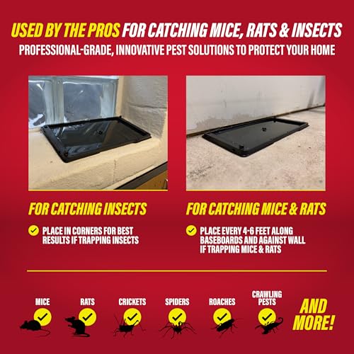 Catchmaster Rat, Snake and Mouse Traps 8Pk, Large Bulk Glue Rat Traps for Home, Adhesive Plastic Tray for Inside House, Snake, Mice, & Spider Catcher, Pest Control for House & Garage - size: 8 Pack, style: 8 Regular