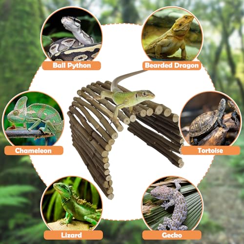 Hamiledyi Extra Large Tortoise Hide Reptile Hiding Cave Turtle Hut Gecko Hideaway Climbing Tunnel Toy Lizard Bendable Wooden Bridge for Adult Bearded Dragon Snake Chameleon Habitat Accessories - size: XL-19.7 x 11.8 -2 PACK