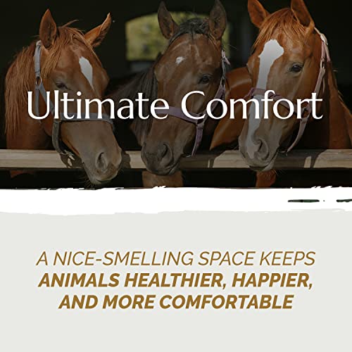 French Hemp Bedding 44lb — Chicken Coop & Horse Stall Bedding | Ultra Low Dust, Odor Control, Deep Litter Ready | Premium Hemp Shavings for Chickens, Horses, Rabbits & Small Animals - size: Pack of 1
