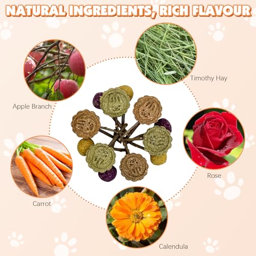Fhiny Rabbit Chew Toys, 15 PCS Natural Bunny Lollipop Chew Sticks Handmade Guinea Pig Molar Treats for Teeth Small Animals Snacks for Guinea Pig Bunny Chinchilla Hamster Gerbil Teeth Care