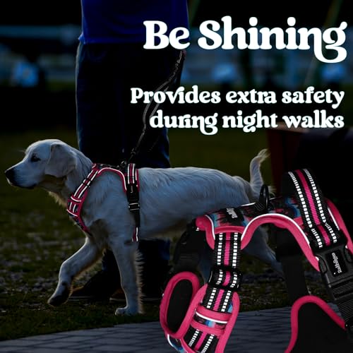 rabbitgoo Dog Harness Small Sized, Updated Easy On & Off with 3 Buckles | No Pull No Choke, Walking with 2 Clips and Handle, Adjustable Soft Reflective, Mountain Rose, Small - color: Mountain Rose, size: Small