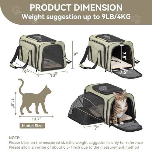 Petsfit Small Expandable Cat Carrier for Air Travel, Up to 9 lb | 16 x 10 x 9 in; sized for Alaska Airlines, with locking zippers, an interior safety tether and multi-side ventilation. - color: Green, size: 16.0"L x 10.0"W x 9.0"H