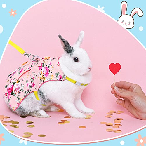 Weewooday 3 Sets Rabbit Bunny Harness and Leash Gift, Cute Bunny Clothes for Rabbits Dress Costume Walking Harness Escape Proof Pet Supply for Hedgehog Ferret Squirrel(Pink Flower, Blue Flower, Daisy)