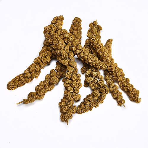 Kaytee Spray Millet Treat for Pet Birds, 7 Ounce - size: 7 Ounce (Pack of 1)