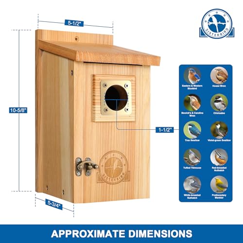 SISTERBIRD 2 Pack Bird Houses for Outside Clearance with Copper Guard, Cedar Bird House Outdoor, Bluebird Finch Swallow Wren Chickadee Assembly Required - color: Burly Wood & Copper-colored --2PK