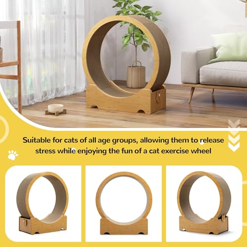 COZIWOW Cat Wheel for Indoor Cats, Cat Treadmill, Exercise Running Wheel | built-in scratching pad and locking mechanism, 34" cat exercise wheel, 8 robust positioning rollers in the base, up to 44 lbs
