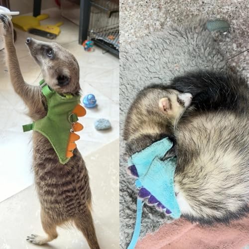 Ferret Harness and Leash Set Cute Dinosaur Design Soft Mesh Small Pet Harness Vest with Safe Bell Walking Clothes for Small Animals Ferret Rabbit Guinea Pig Squirrels (Blue) - color: Blue