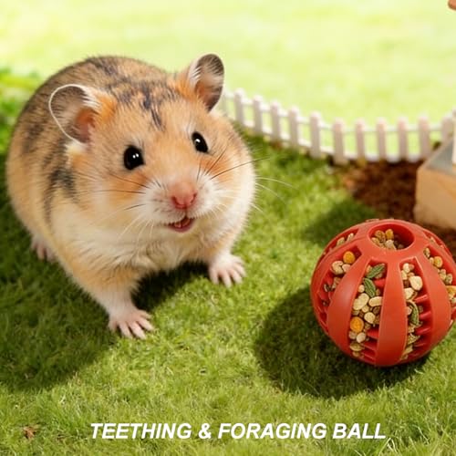 2Pcs Pet Foraging Feeder Chew Toys & Mat for Hamster Bird Guinea Pig Rat | Hamster Toys Slow Chew Feeder for Parakeet, Lovebird, Rabbit, Cage Accessories for Small Animals, Rat Enrichment Toys