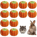 Fhiny 12 PCS Rabbit Chew Toys, Natural Pumpkin Carrot Timothy Grass Guinea Pig Chew Toys for Teeth Bunny Molar Snacks Dental Care Hamster Treats for Bunny Guinea Pig Chinchilla Hamster Gerbil - size: 12 PCS