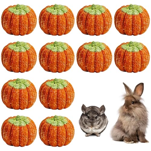 Fhiny 12 PCS Rabbit Chew Toys, Natural Pumpkin Carrot Timothy Grass Guinea Pig Chew Toys for Teeth Bunny Molar Snacks Dental Care Hamster Treats for Bunny Guinea Pig Chinchilla Hamster Gerbil - size: 12 PCS