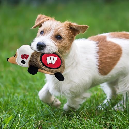 NCAA Wisconsin Badgers Plush Hedgehog Toy for Dogs & Cats, Cool Soft Pet Toy for Fun and Interactive Play, Dog Chew Toy with Squeaker, Licensed Hot Pet Toy - color: Wisconsin Badgers