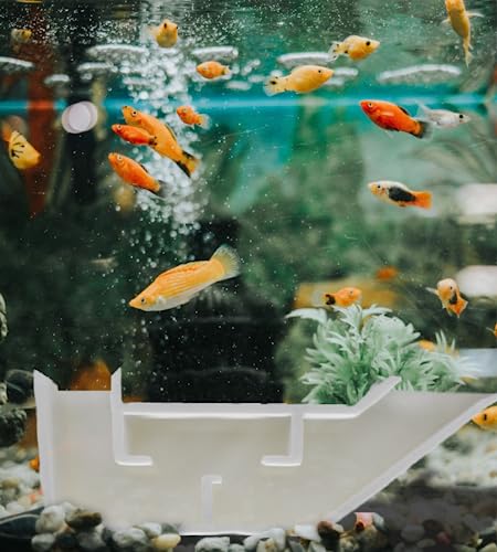 Aquarium Underground Tunnel | Fish & Shrimp Hideout for Aquariums | Unique Underground Viewing Tunnel | Made in USA (White) - color: White