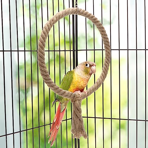 Bird Rope Swing Toy Parrot Climbing Perch Stand for Cockatiel Conure Cockatoo Parakeet Cage Hanging Decor (B: Round)