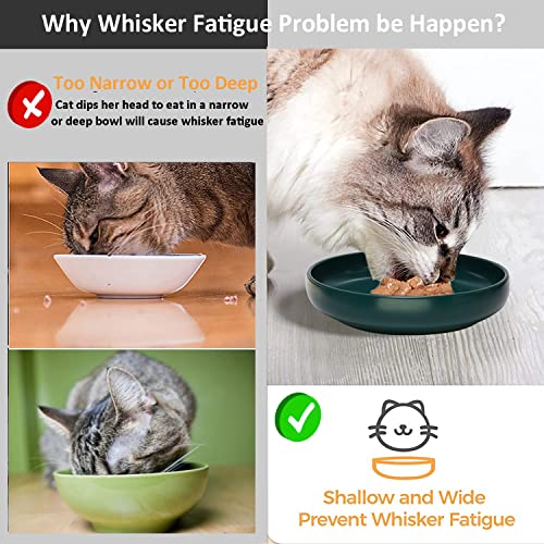 Ceramic Cat Bowls,Shallow Cat Dishes for Food and Water, 6 inch Matte Finish Wide Cat Food Bowl,Whisker Fatigue Free Pet Puppy Kitten Bowl Set of 3,Dishwasher Safe - color: Blackish green-3pack