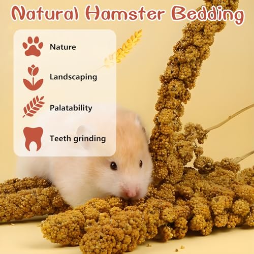 Fhiny Natural Hamster Sprays Edible Hamster Bedding Air-Dried Grain Set for Habitat Decor Mice Cage Accessories for Gerbils Lemmings Parrots Rats and Other Small Animals（0.4lb）