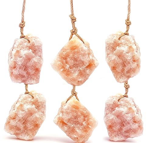 Himalayan Small Pets Salt Lick - 6 Count Natural Mineral Salt Chew Toys with Rope - Treats for Guinea Pig Rabbits Bunny Ferrets