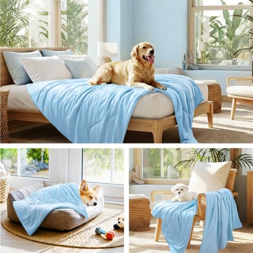 Luciphia Cooling Dog Blanket, Q-MAX>0.5 Pet Throw for Couch, Crate & Bed | Cools on contact—no power needed. Soft, breathable, gentle on sensitive skin; dog & cat cooling throw, Light Blue,40x60 - color: Light Blue, size: 40x60 inches
