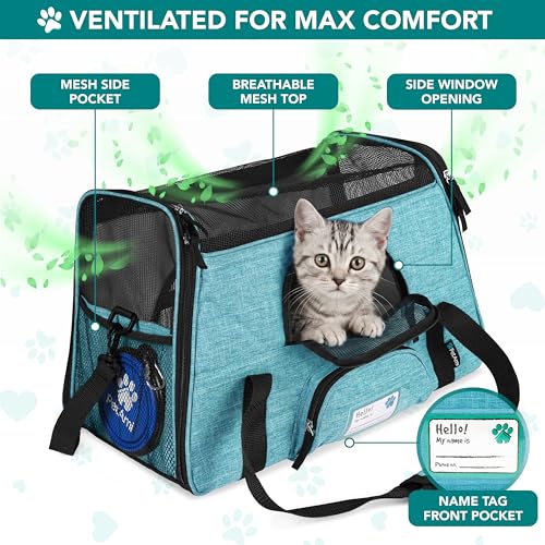PetAmi Airline Approved Pet Carrier for Cats Small Dogs, Large Heather Blue | Soft Sided TSA Travel Bag, Sherpa Bed, Breathable Mesh Ventilation, Collapsible Bowl, Fits Under Seat, Up to 18 lbs - color: Heather Blue, size: Large - 19.5"L x 10.2"W x 12"H