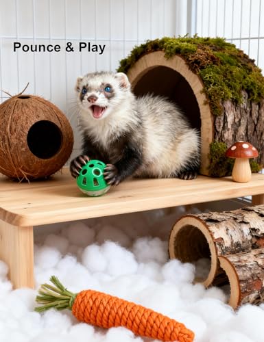 10-Pack Ferret Bell Ball Toys, Non-Toxic PP, Hollow Chew Play | Smooth Edges, Chew-Resistant Build, Boredom Reduction