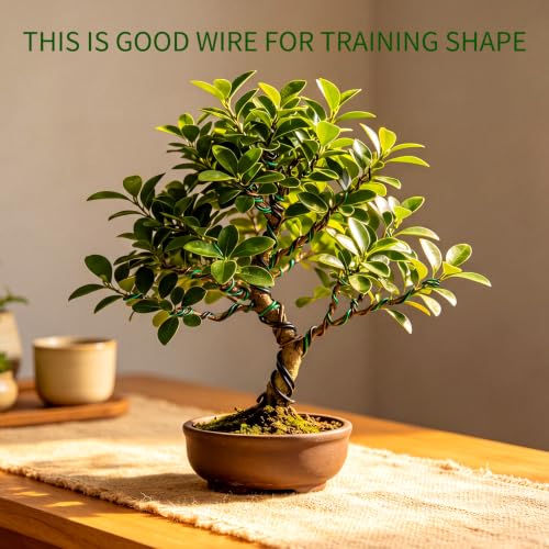 Mudder 5 Roll Aluminum Bonsai Training Wire Tree 1/1.5/2.0/4/6mm 85 Feet Total with Bonsai Wire Cutter Anodized Training for Holding Branches Small Trunks(Classic) - color: Classic, size: 1/1.5/2/4/6mm