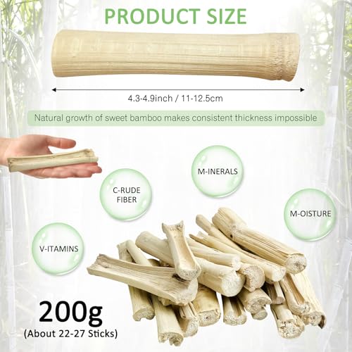Tfwadmx Small Animal Snacks Sweet Bamboo Molar Treats 200 g Bunny Chew Toys for Chinchilla Rabbit Guinea Pig Hamster Squirrel (About 22-27 Sticks) - size: 0.26 Ounce (Pack of 27)