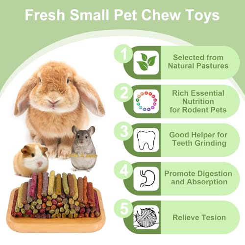 70PCS 10Flavors Bunny Chews Toys Sticks, Rabbit Toys for Bunnies Boredom, Guinea Pig Chinchilla Bunny Treats For Rabbits Timothy Hay Sticks For Chinchilla Guinea Pig Rabbit Bunny Indoor Outdoor