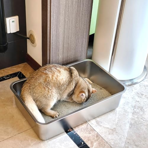 Stainless Steel Cat Litter Box,Medium Metal Litter Box 2pcs | 2 Pack Box for Cats,Easy to Clean,Indoor,Cat LitterBox for kitty/Kitten Rabbit,Litter Pan,No Smell - color: M - 2pcs