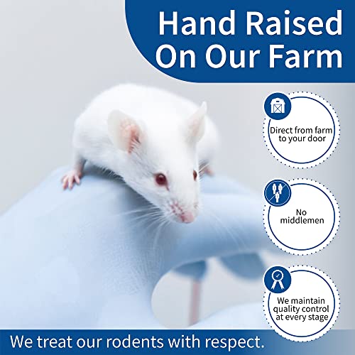 MiceDirect 8 Frozen Rat Combo Pack 4 Larges and 4 Rat Jumbo Feeders Snake Food (9-11 in)(1800 Grams Min) - size: 9-11 in (Pack of 8)