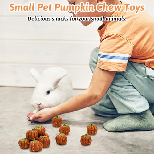 Fhiny 12 PCS Rabbit Chew Toys, Natural Pumpkin Carrot Timothy Grass Guinea Pig Chew Toys for Teeth Bunny Molar Snacks Dental Care Hamster Treats for Bunny Guinea Pig Chinchilla Hamster Gerbil - size: 12 PCS