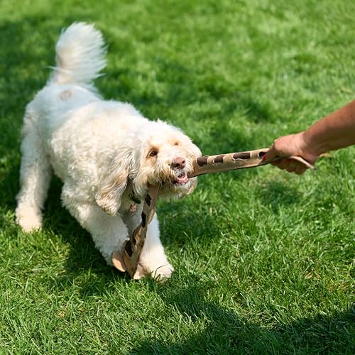 SPOT Skinneeez Leather Snake – 36" Stuffing-Free Dog Toy with Real Leather & 5 Squeakers, Tug Toy for Light to Moderate Chewers, Ideal for Large & XL Dogs - size: 36 Inch