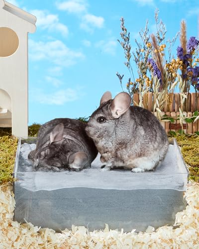 Chinchilla Dust Bath - Gentle Powder for Hamsters & Gerbils, 35oz | Natural sand bath for healthy fur. Safe for chinchillas, hamsters, gerbils & small pets. Gentle, premium dusting powder. - size: 35OZ