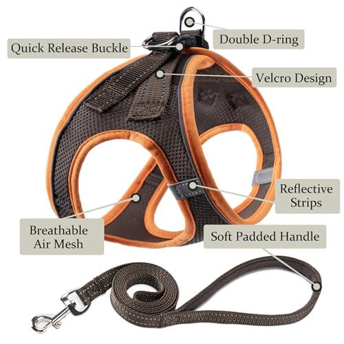 Dog Harness with Leash Set, Step-in Adjustable Puppy Pet Vest, Brown XXS | Lightweight Breathable Air Mesh, Night Safety Reflective, No Pull Puppy Vest Harnesses for Small Medium Large Dogs, Cats - color: Brown, size: XXS(Chest:10"-12")