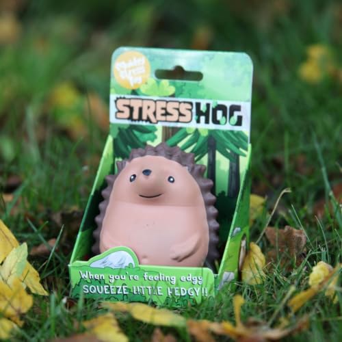 Boxer Gifts Stress Hog Toy - Unique Stress Balls for Adults & Teenagers | Squishy Fidget Toys for Anxiety - Cool Desk Accessories | Cute Hedgehog Gifts & White Elephant for Co-Workers