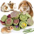 Sofier 20Pcs Timothy Hay Treats - Natural Chews for Teeth - Handmade Rabbit, Chinchilla, Gerbil, Rat, Hamster Toys - Bunny & Guinea Pig - style: 20pcs Treats