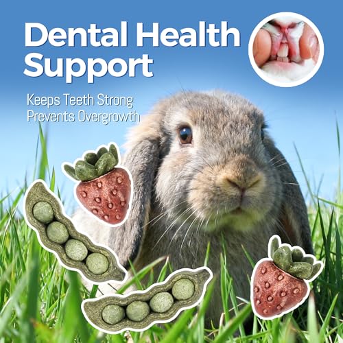 TEEWY 4PCS Guinea Pig Toys, Prevent Teeth Overgrowth, Natural Vegetables and Timothy Grass, Hamster Chew Toys, Guinea Pig Chew Toys, Chinchilla Toys, Peapod and Stawberry Chew Toy Set - style: 4PCS-Peapod and Stawberry