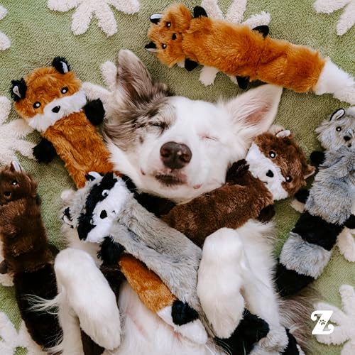 ZippyPaws Skinny Peltz No Stuffing Dog Toy Pack to Keep Them Busy - 11" | For Small and Medium Dogs, Squeaky Pet Toys, Unstuffed Chew Toys, Soft Plush Variety Pack, Fox, Raccoon, and Squirrel - style: Fox, Raccoon, Squirrel