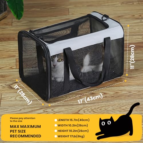 Conlun Soft-Sided Cat Carrier for Small-Medium Cats, Puppies up to 15 Lb, Airline Approved - color: Grey, size: M