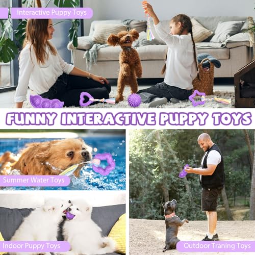 ABRRLO 6 Pack Puppy Teething Toys Cute Purple Puppy Chew Toys for Teething Small Breed Dog Chew Toy Interactive Pet Toy Set for Puppies to Keep Them Busy Soft Durable Small Breed Doggy Chewing Ball - color: Purple