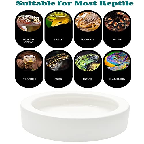 3 Pcs Reptile Food Bowl, Ceramic Water Feeder Bowl for Lizard Anoles Bearded Dragons Crested Gecko Hermit Crabs Triangular | Mini Reptile Feeder Reptile Food Bowls Bearded Dragon Bowl