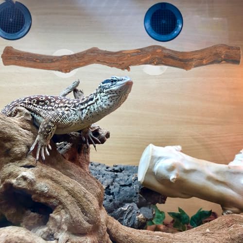 FAVOMOTO Wooden Reptile Climbing Branch with Suction Cups, Natural Terrarium Reptile Decor Lizard Climbing Toy for Snake Frog Bearded Dragons Chameleons Habitat Tank Accessories