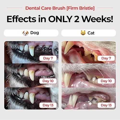 JAYU PET Dental Care Brush, Firm Bristles, 1ea | Resilient Dog Toothbrush, Cat Toothbrush, Tartar & Plaque Removal, Horizontal Head, S-Curved Body - color: Firm Bristles, size: 1 Count (Pack of 1)
