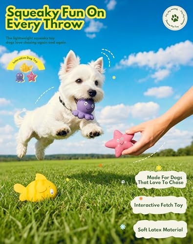 Squeaky Sea Creature Latex Dog Toys, 3 in 1 Set Soft Fish Octopus Starfish Chew Toys for Small Medium Dogs, Cute Puppy Toys Gift, Interactive Pet Toys for Enrichment Teething Relief & Boredom Buster - style: Seafish