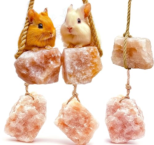 Himalayan Small Pets Salt Lick - 6 Count Natural Mineral Salt Chew Toys with Rope - Treats for Guinea Pig Rabbits Bunny Ferrets