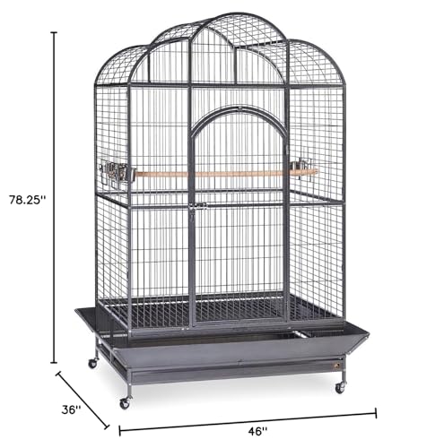 Prevue Hendryx Silverado Macaw Dometop Cage 3155S Silverado 46-Inch by 36-Inch by 78-1/4-Inch - color: black