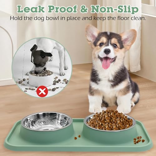 BNOSDM 2 Pcs Double Dog Food Bowls, Stainless Steel Small Dog Food and Water Bowls with Non-Spill Plastic Mat, Pet Cat Feeder Dish Set for Puppy Cats Kitten, Pink - color: Pink【Set of 2】